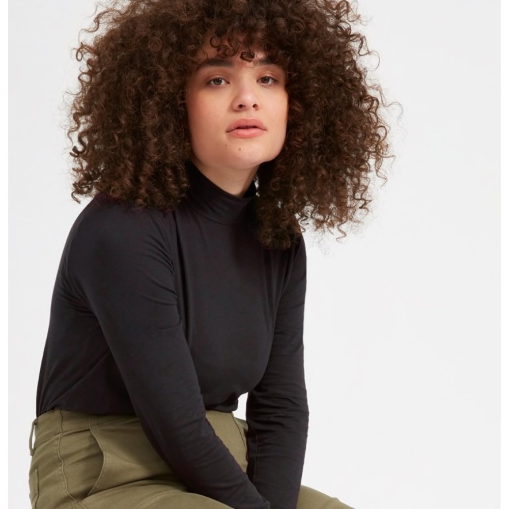 Everlane Pima Stretch Turtleneck